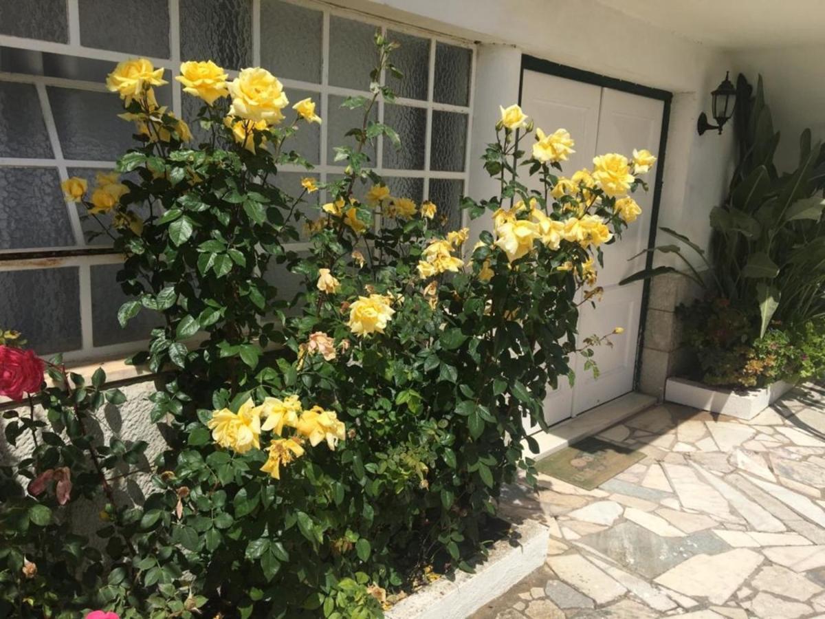 2 Bedroom Apartment House - Sol do Murtal Parede Exterior foto