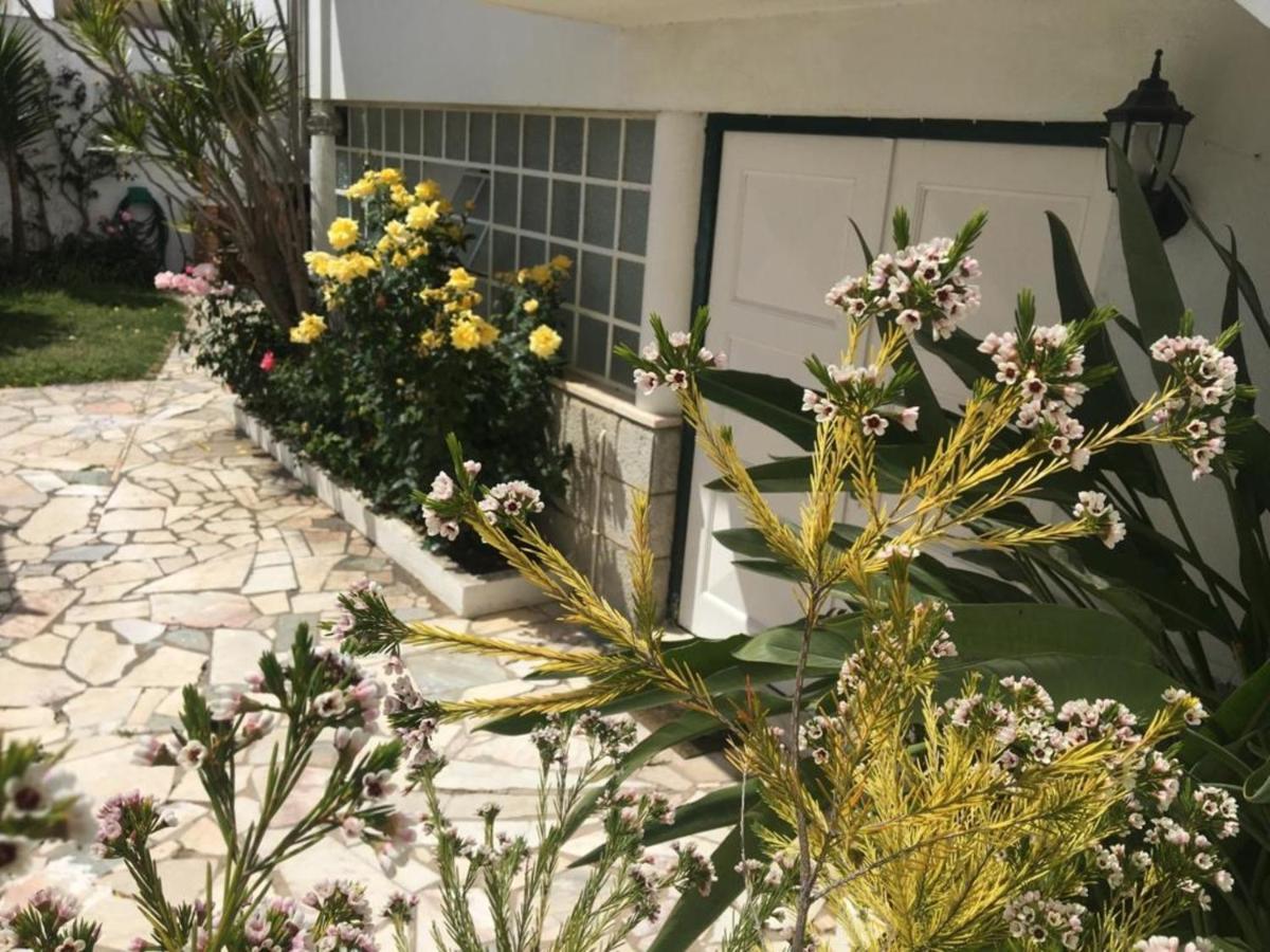 2 Bedroom Apartment House - Sol do Murtal Parede Exterior foto