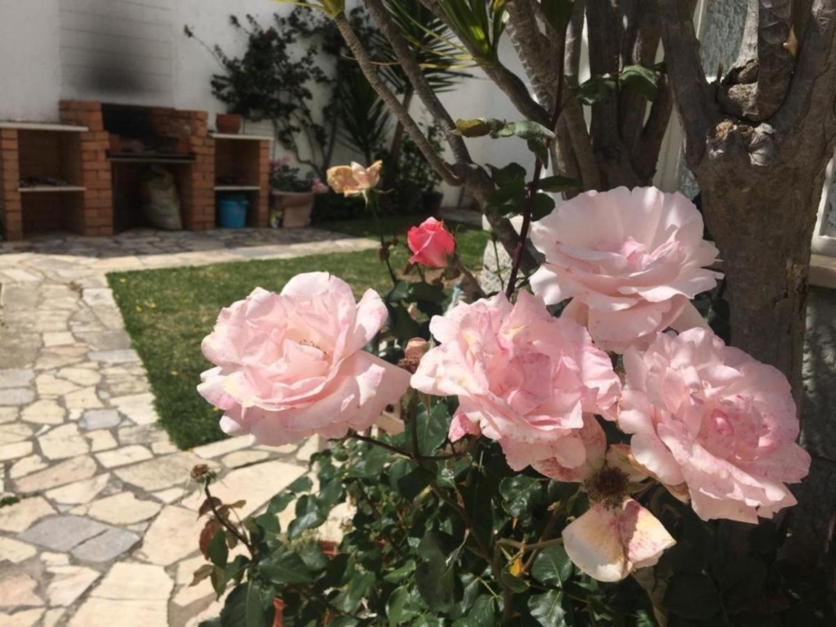 2 Bedroom Apartment House - Sol do Murtal Parede Exterior foto